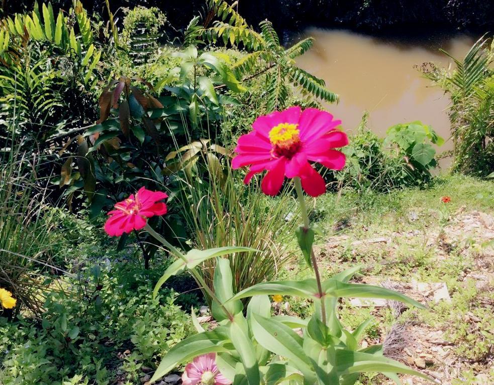 Lanta Wanida Resort Ko Lanta Buitenkant foto